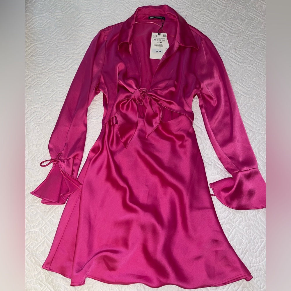 Zara dress